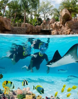 Make Some Memories, Win A Trip To Florida!