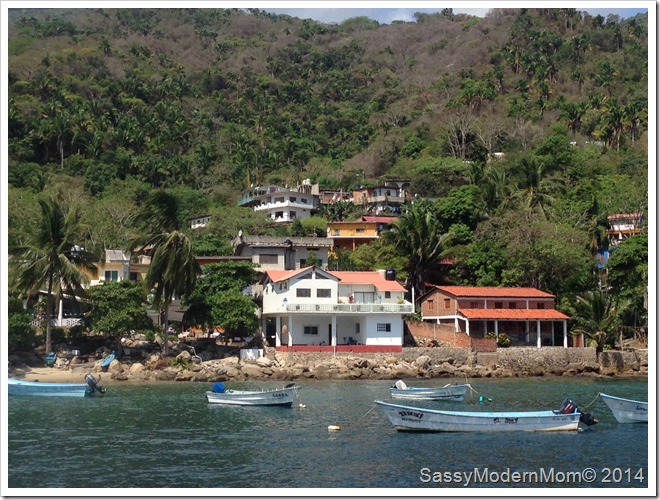 PVYelapa3