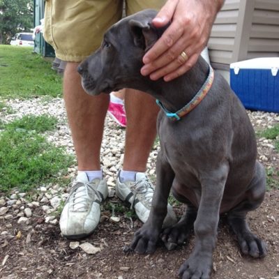 Waiting To Adopt!