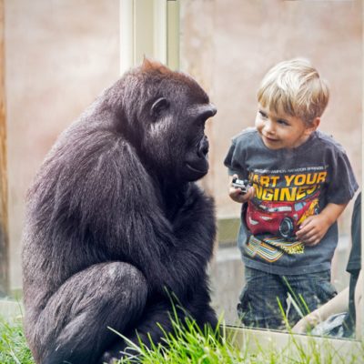 It&rsquo;s Time To Visit Calgary and The Calgary Zoo!