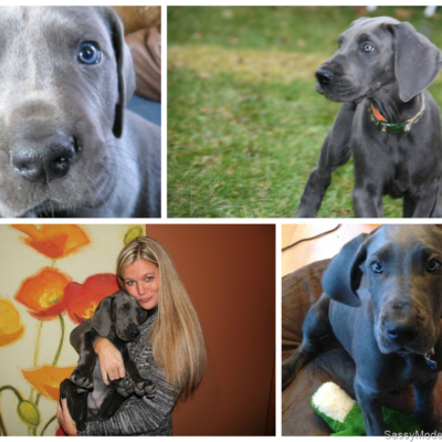 Evolution of Watson! ~WW
