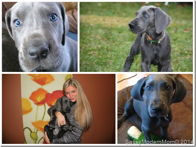 WatsonFivetoTenWeeks