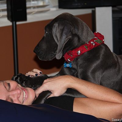 Cause When  A Great Dane Tells You To Stay…
