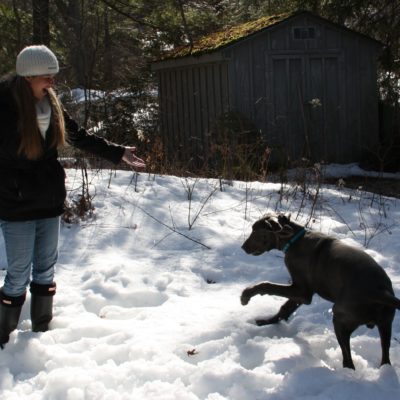 How To Get A Pic With A Giant Pup: WW