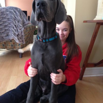 A 90 Pound Puppy? YUP!