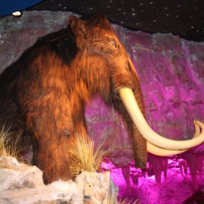 T-Rex Restaurant! WW