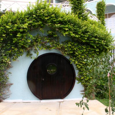 Falling Down The Rabbit Hole ~ SandalsOchi
