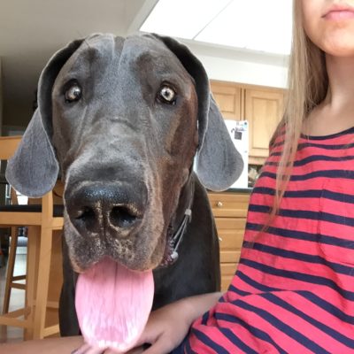 There’s A New Camera Hog In The House