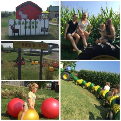 Leaping Deer Adventure Farm ~ Giveaway