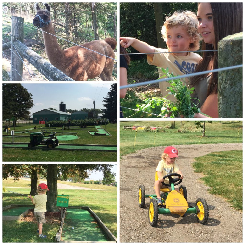 LeapingDeer3