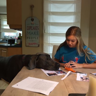 How To Do Homework With A Great Dane