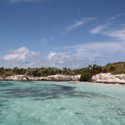 Discovering Iguana Island: Turks & Caicos