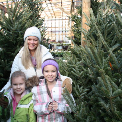 Have Yourself A Merry Little Christmas