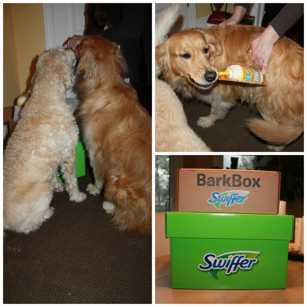 SwifferBarkBox2