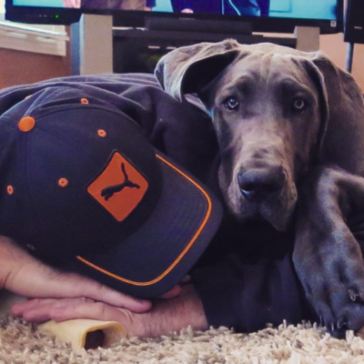 Six Tips To Keep Your Pets Happy And Healthy!