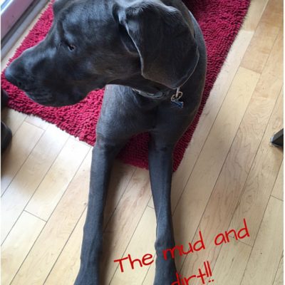On Mud & Dogs & Bubble Baths Gone Wrong –  $83 Giveaway