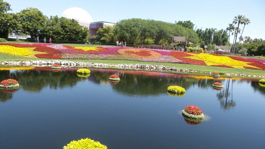 Disney2016EpcotFlowers1
