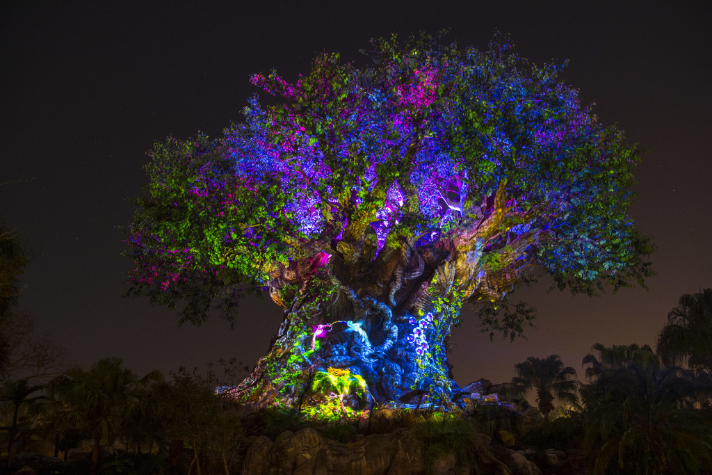 Disney's Animal Kingdom's iconic Tree of Life will undergo extraordinary ÒawakeningsÓ throughout each evening as the animal spirits are brought to life by magical fireflies that reveal colorful stories of wonder and enchantment. Projections of nature scenes take on a magical quality as they appear to dramatically emanate from within the Tree of Life. (David Roark, photographer)
