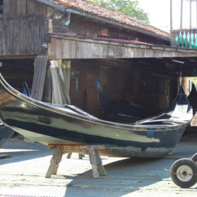 Venice Boat Tour with Grand Canal & Tower Climb with Walks of Italy